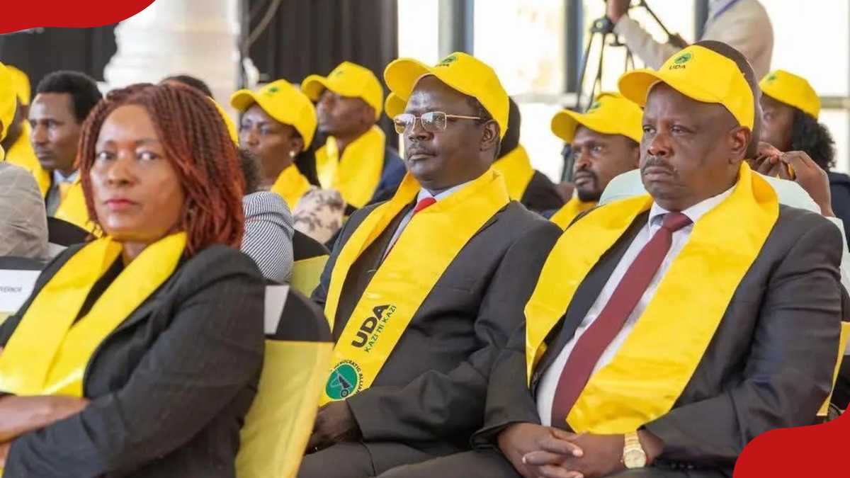 Former JSC Vice Chair Macharia Njeru Raises Alarm Over Isaac Ruto’s Alleged Political Involvement