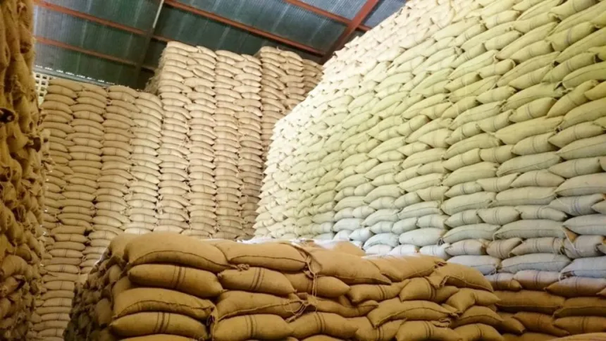 Government Intensifies Maize Purchases to Boost Strategic Grain Reserve