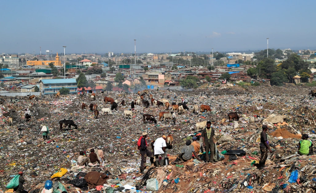 Court Awards Ksh.25.8 Million to Dandora Waste Pickers Over Rights Violations
