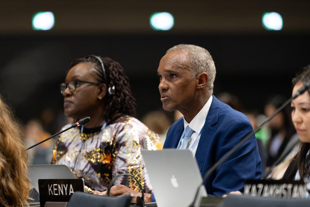 Africa Faces $200 Billion Annual Climate Loss as Policymakers Look to Global Funding and Economic Reforms