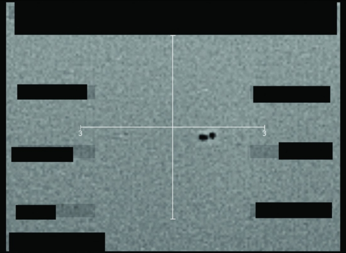 ‘Make up their own minds’: Pentagon releases first tranche of UFO files